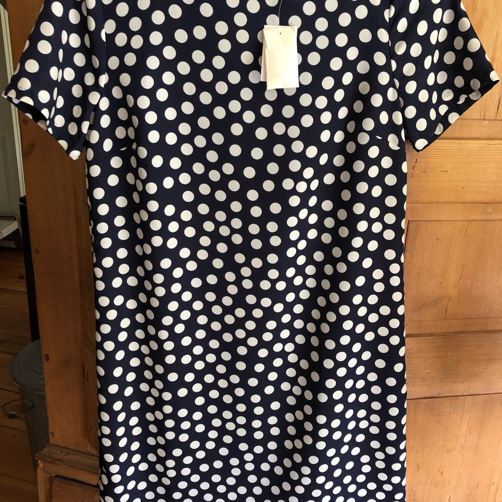 Jcrew size 4 polka dot dress